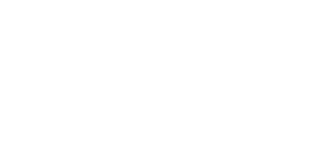 لوگو برند Toa
